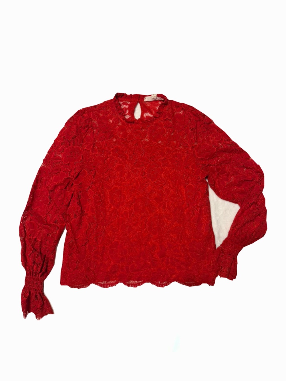 Vine & Love Red Floral Lace Long-Sleeve Blouse
